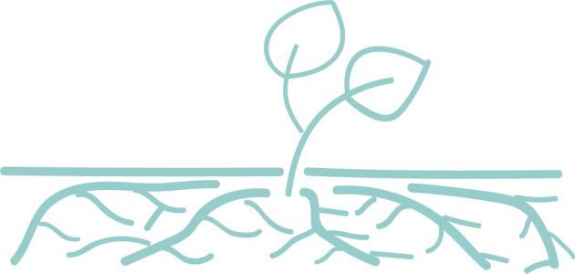 Las 5 raices del sano sueño infantil